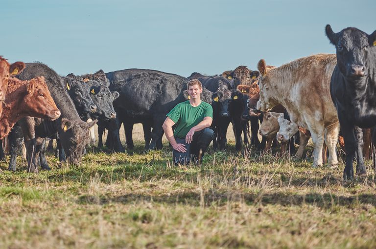 Bauer Schmedt und seine Angus-Rinder in Stemwede