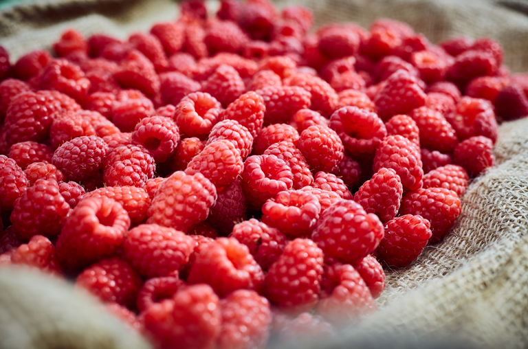 Frische Himbeeren aus Ibbenbüren