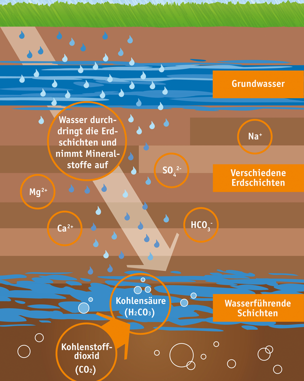 Die Grafik zeigt wie Regenwasser durch die Erdschichten fließt und alle chemischen Prozesse, die dabei entstehen